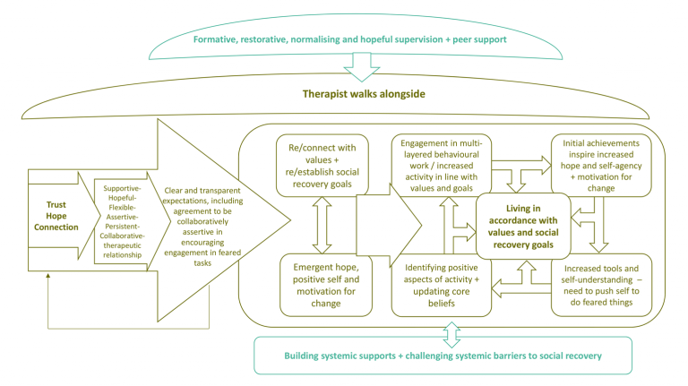 what is social model recovery